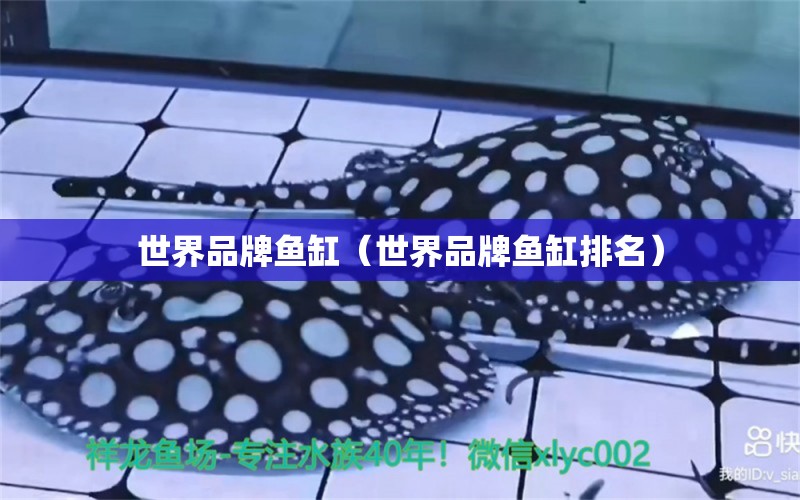 世界品牌魚缸（世界品牌魚缸排名）