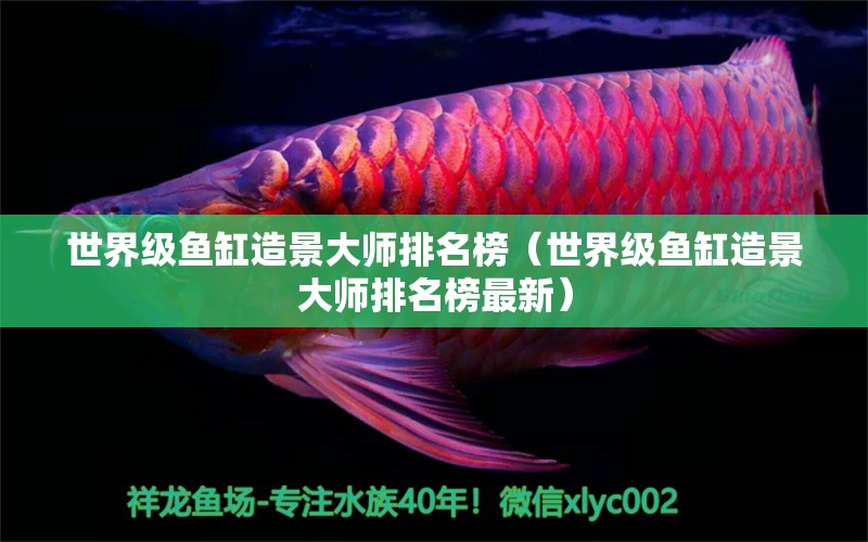 世界級(jí)魚(yú)缸造景大師排名榜（世界級(jí)魚(yú)缸造景大師排名榜最新）