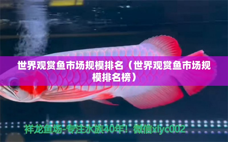 世界觀賞魚(yú)市場(chǎng)規(guī)模排名（世界觀賞魚(yú)市場(chǎng)規(guī)模排名榜）