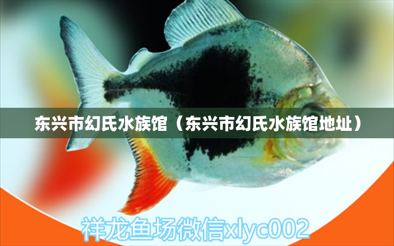 東興市幻氏水族館（東興市幻氏水族館地址）