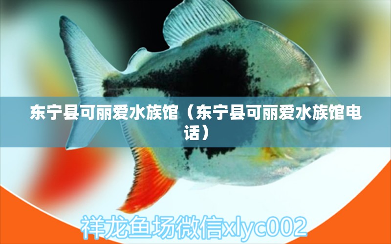 東寧縣可麗愛水族館（東寧縣可麗愛水族館電話） 全國水族館企業(yè)名錄