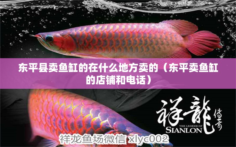 東平縣賣魚缸的在什么地方賣的（東平賣魚缸的店鋪和電話） 廣州觀賞魚批發(fā)市場