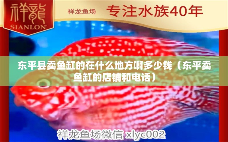 東平縣賣(mài)魚(yú)缸的在什么地方啊多少錢(qián)（東平賣(mài)魚(yú)缸的店鋪和電話(huà)）