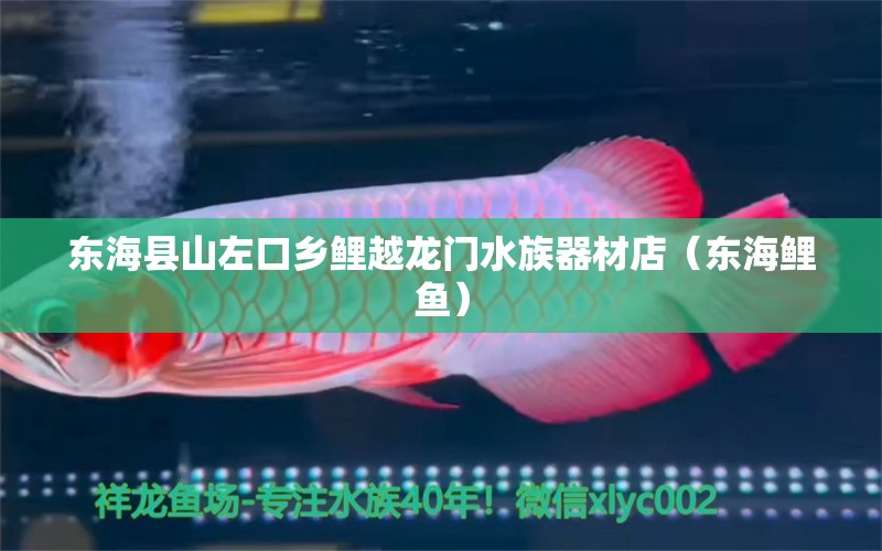 東海縣山左口鄉(xiāng)鯉越龍門水族器材店（東海鯉魚） 全國水族館企業(yè)名錄