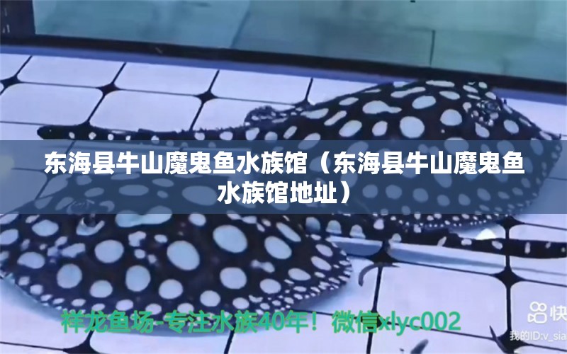 東?？h牛山魔鬼魚水族館（東海縣牛山魔鬼魚水族館地址） 全國水族館企業(yè)名錄