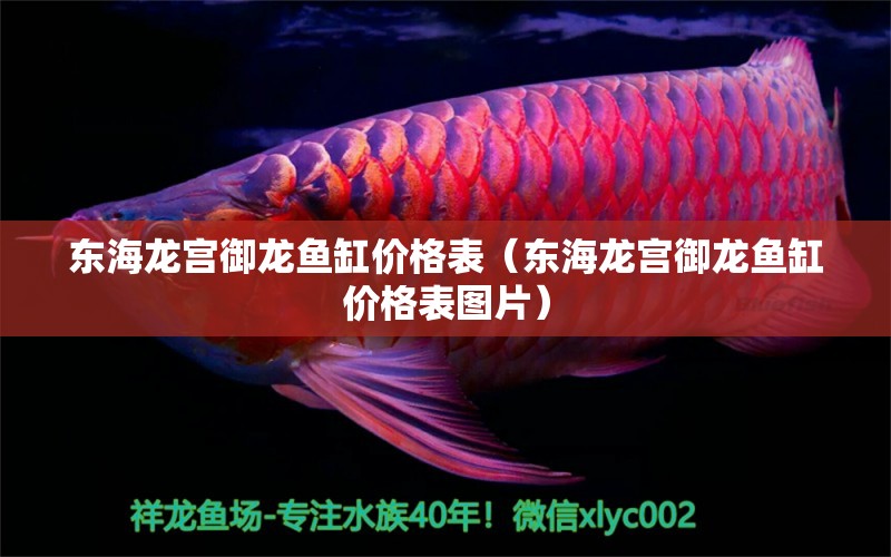 東海龍宮御龍魚(yú)缸價(jià)格表（東海龍宮御龍魚(yú)缸價(jià)格表圖片）