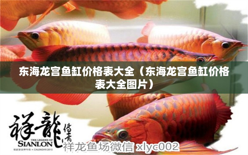 東海龍宮魚缸價格表大全（東海龍宮魚缸價格表大全圖片）