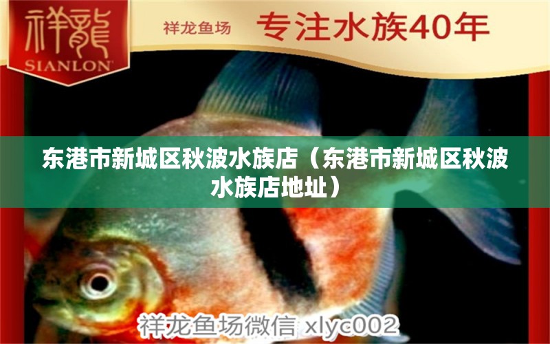 東港市新城區(qū)秋波水族店（東港市新城區(qū)秋波水族店地址） 全國(guó)水族館企業(yè)名錄