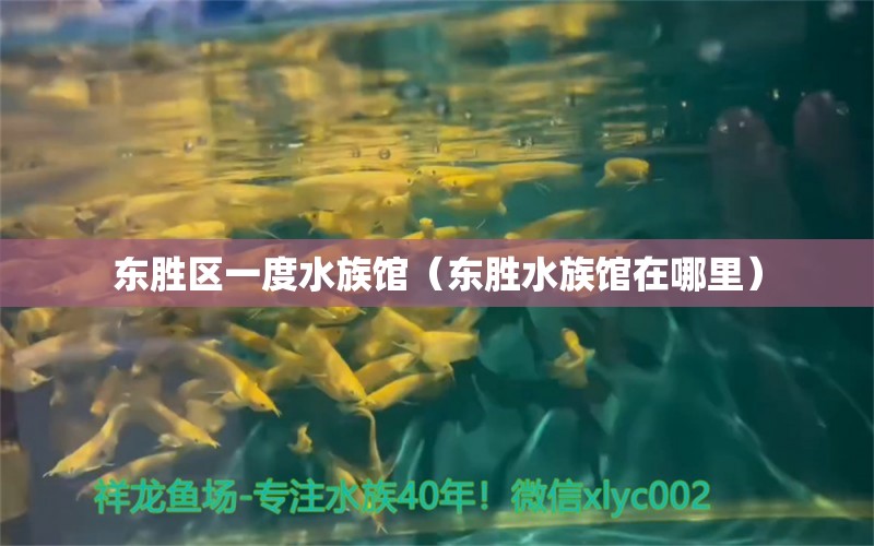 東勝區(qū)一度水族館（東勝水族館在哪里）