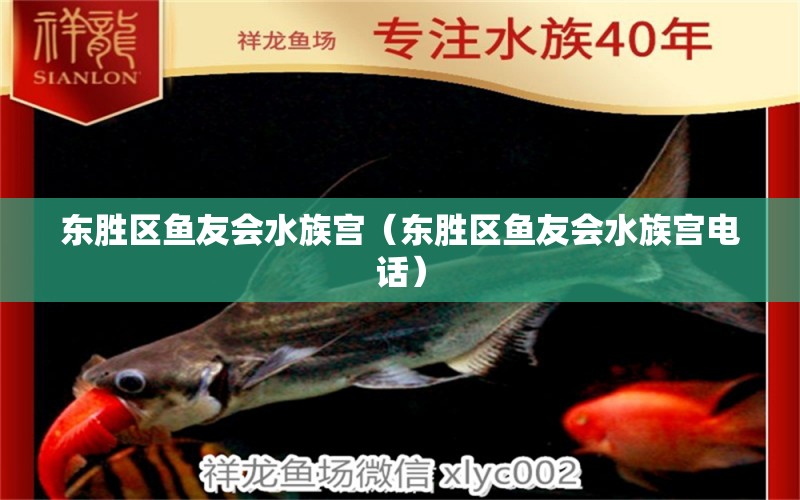 東勝區(qū)魚友會水族宮（東勝區(qū)魚友會水族宮電話） 全國水族館企業(yè)名錄