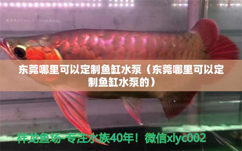 東莞哪里可以定制魚缸水泵（東莞哪里可以定制魚缸水泵的） 魚缸水泵