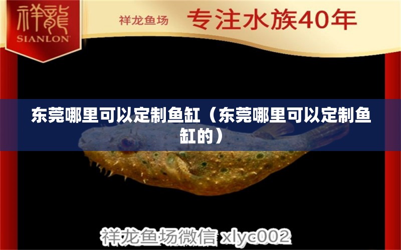 東莞哪里可以定制魚缸（東莞哪里可以定制魚缸的） 其他品牌魚缸