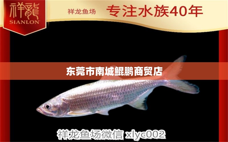 東莞市南城鯤鵬商貿(mào)店 全國水族館企業(yè)名錄