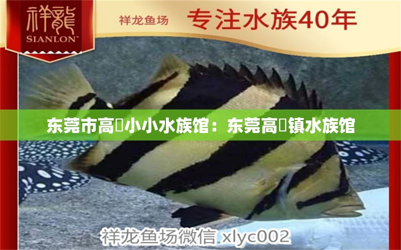 東莞市高埗小小水族館：東莞高埗鎮(zhèn)水族館