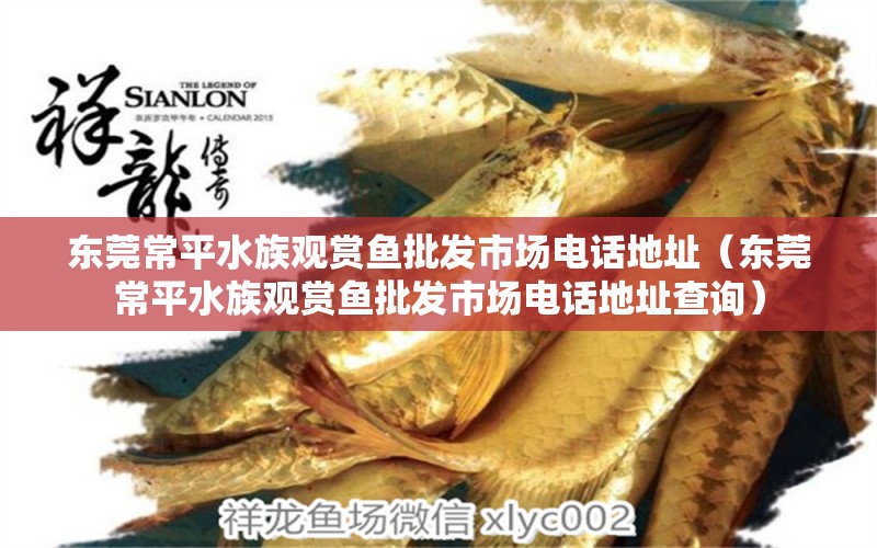 東莞常平水族觀賞魚批發(fā)市場電話地址（東莞常平水族觀賞魚批發(fā)市場電話地址查詢）