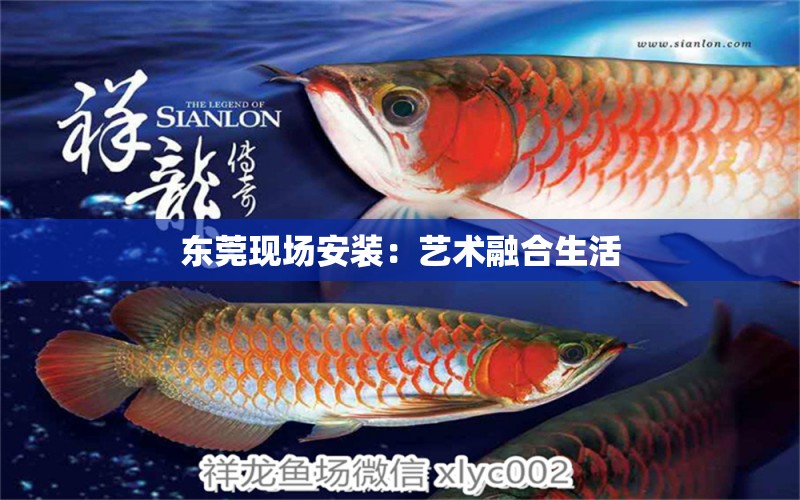 東莞現(xiàn)場安裝：藝術(shù)融合生活 觀賞魚論壇 第4張