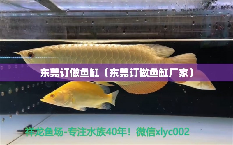 東莞訂做魚(yú)缸（東莞訂做魚(yú)缸廠(chǎng)家） 其他品牌魚(yú)缸