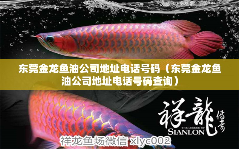 東莞金龍魚油公司地址電話號(hào)碼（東莞金龍魚油公司地址電話號(hào)碼查詢） 觀賞魚市場(chǎng)（混養(yǎng)魚）