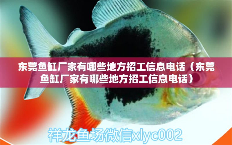 東莞魚(yú)缸廠家有哪些地方招工信息電話（東莞魚(yú)缸廠家有哪些地方招工信息電話） 祥龍水族醫(yī)院