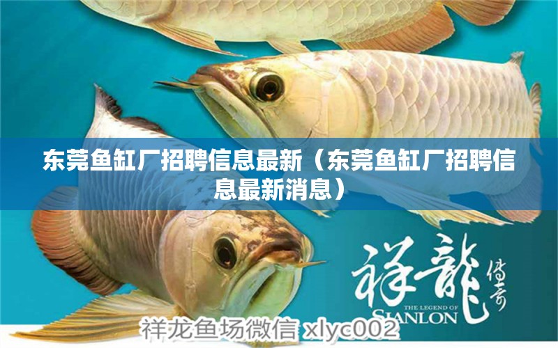 東莞魚缸廠招聘信息最新（東莞魚缸廠招聘信息最新消息）