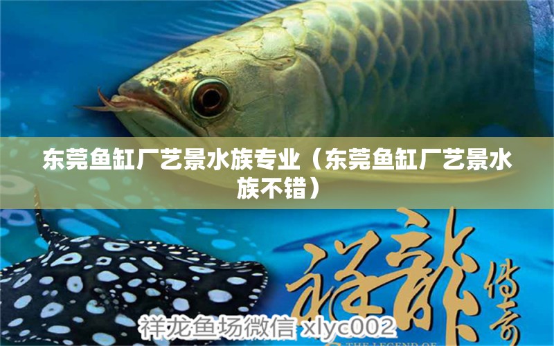 東莞魚(yú)缸廠藝景水族專(zhuān)業(yè)（東莞魚(yú)缸廠藝景水族不錯(cuò)）