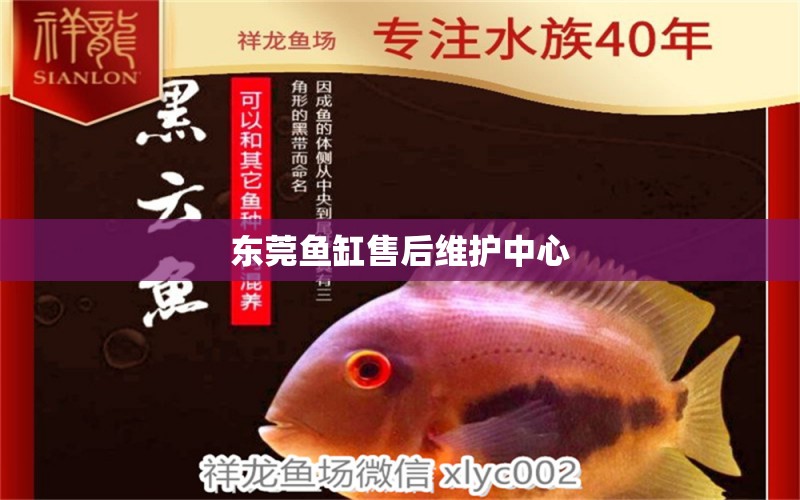 東莞魚缸售后維護(hù)中心