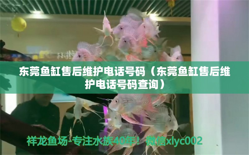 東莞魚缸售后維護電話號碼（東莞魚缸售后維護電話號碼查詢） 其他品牌魚缸