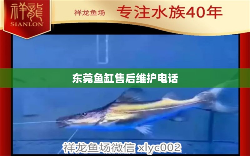 東莞魚缸售后維護電話 其他品牌魚缸