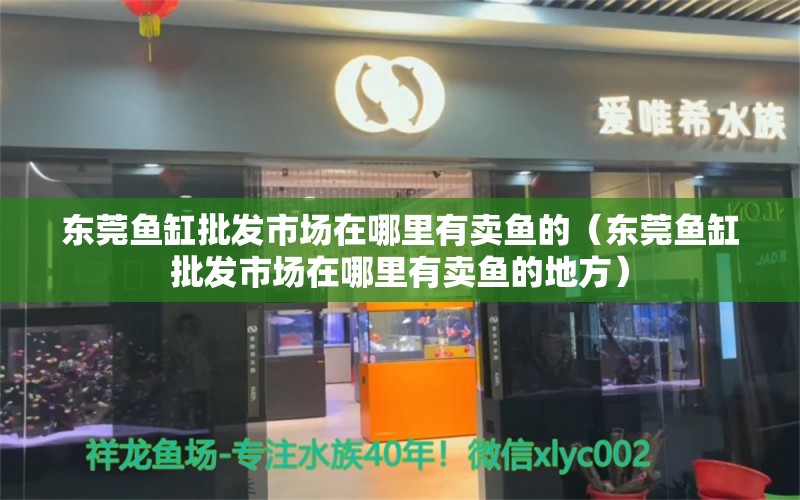 東莞魚缸批發(fā)市場在哪里有賣魚的（東莞魚缸批發(fā)市場在哪里有賣魚的地方）