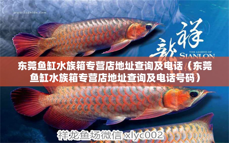 東莞魚缸水族箱專營店地址查詢及電話（東莞魚缸水族箱專營店地址查詢及電話號碼） 魚缸/水族箱