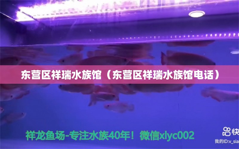 東營(yíng)區(qū)祥瑞水族館（東營(yíng)區(qū)祥瑞水族館電話(huà)） 全國(guó)水族館企業(yè)名錄