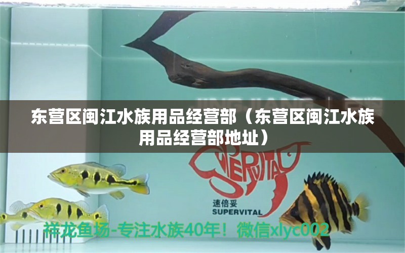 東營(yíng)區(qū)閩江水族用品經(jīng)營(yíng)部（東營(yíng)區(qū)閩江水族用品經(jīng)營(yíng)部地址） 水族用品