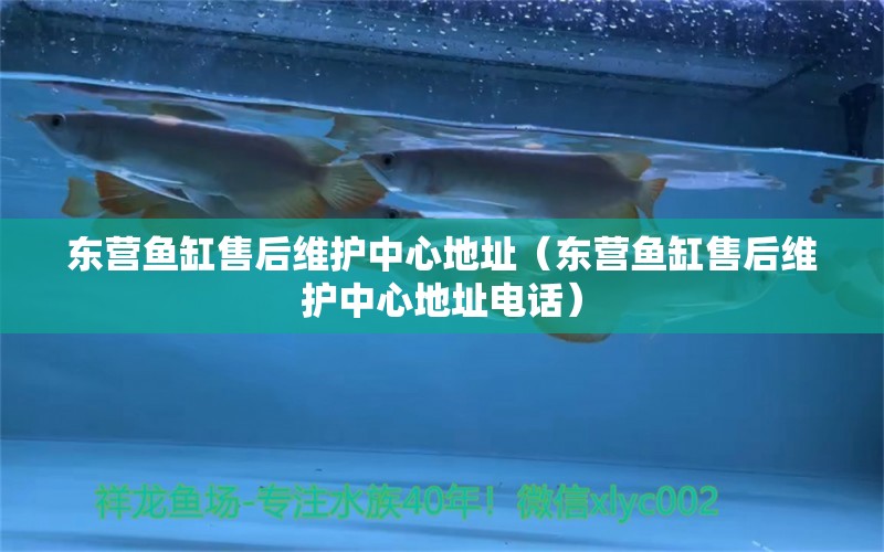 東營魚缸售后維護中心地址（東營魚缸售后維護中心地址電話） 其他品牌魚缸