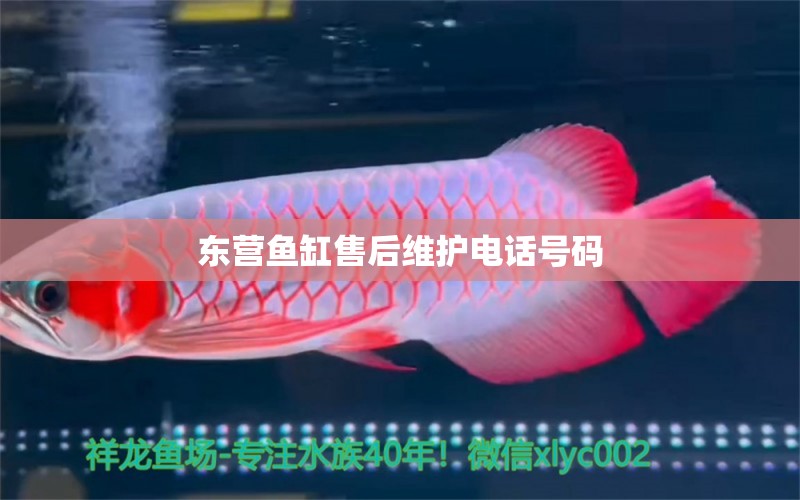 東營魚缸售后維護電話號碼 其他品牌魚缸