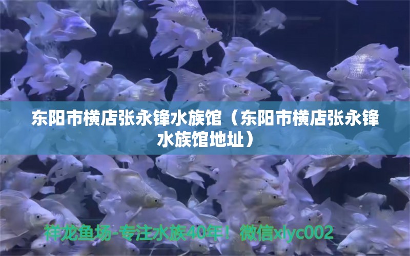 東陽市橫店張永鋒水族館（東陽市橫店張永鋒水族館地址） 全國水族館企業(yè)名錄