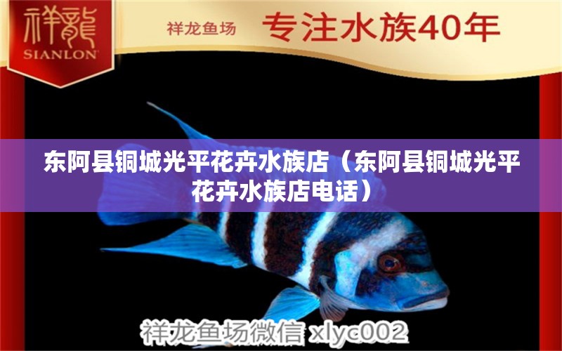 東阿縣銅城光平花卉水族店（東阿縣銅城光平花卉水族店電話） 全國水族館企業(yè)名錄