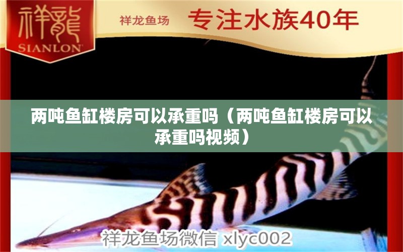 兩噸魚缸樓房可以承重嗎（兩噸魚缸樓房可以承重嗎視頻）