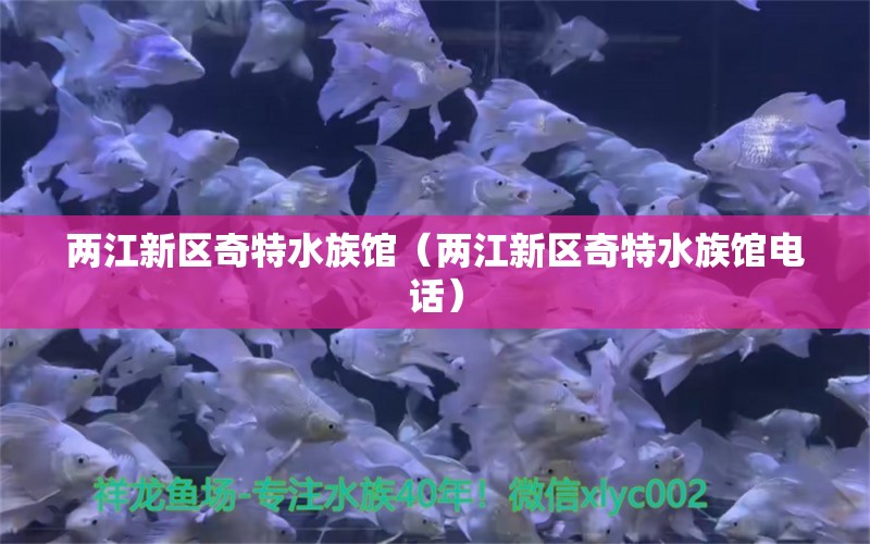 兩江新區(qū)奇特水族館（兩江新區(qū)奇特水族館電話） 全國(guó)水族館企業(yè)名錄