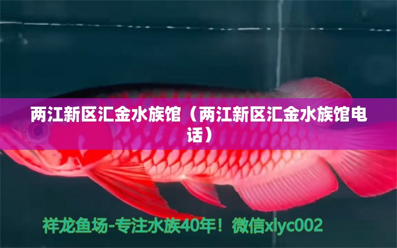 兩江新區(qū)匯金水族館（兩江新區(qū)匯金水族館電話） 全國水族館企業(yè)名錄