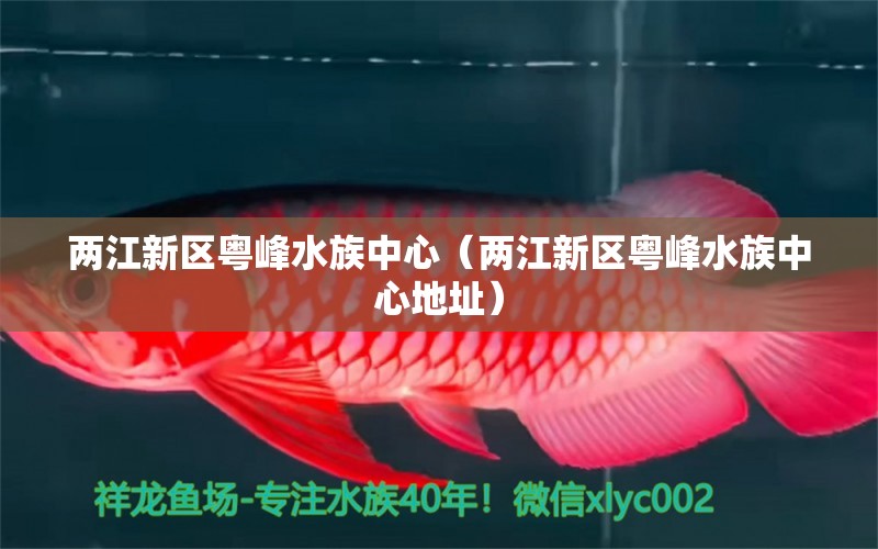 兩江新區(qū)粵峰水族中心（兩江新區(qū)粵峰水族中心地址）