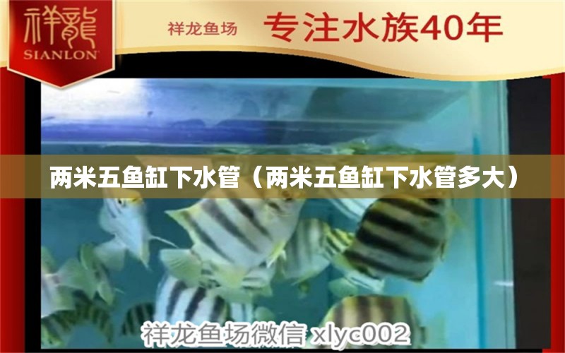 兩米五魚缸下水管（兩米五魚缸下水管多大）