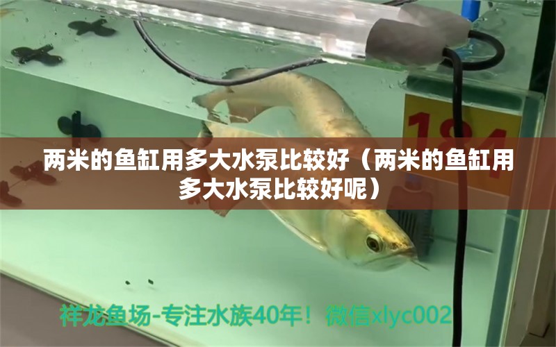 兩米的魚缸用多大水泵比較好（兩米的魚缸用多大水泵比較好呢） 其他品牌魚缸 第1張