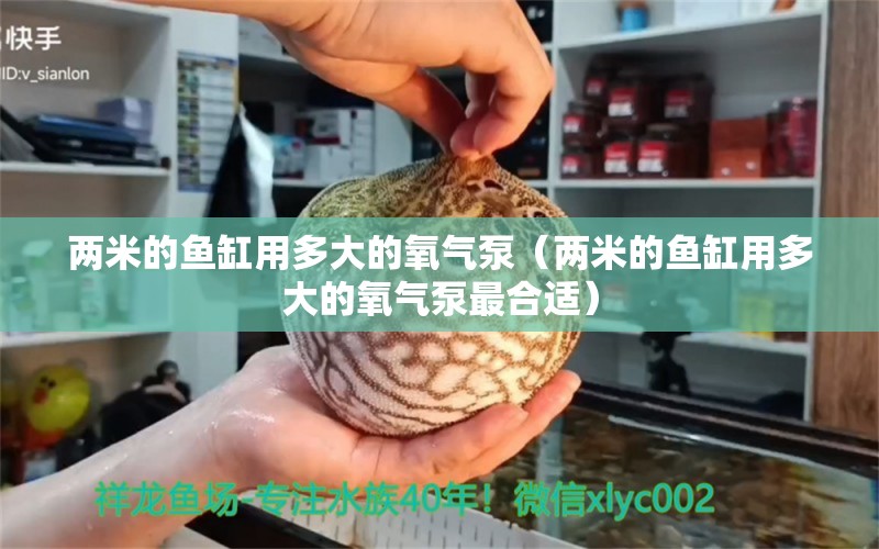 兩米的魚(yú)缸用多大的氧氣泵（兩米的魚(yú)缸用多大的氧氣泵最合適）