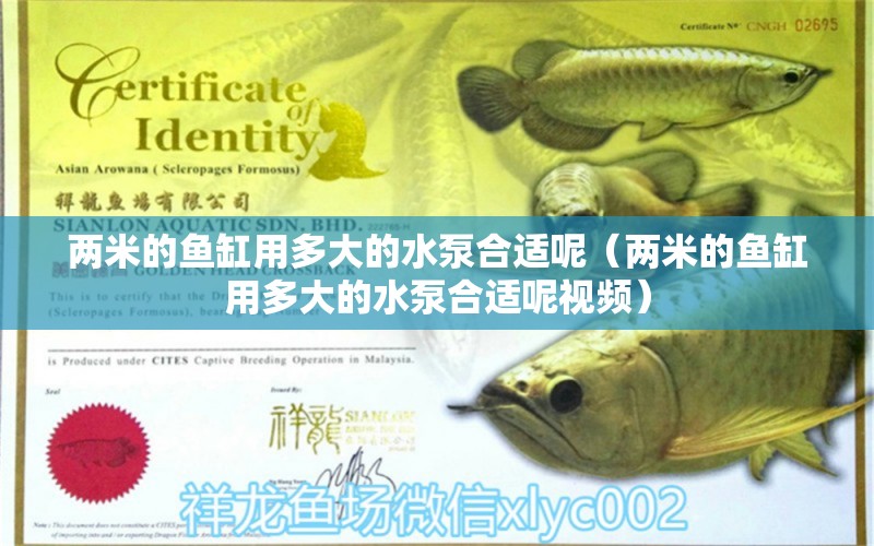 兩米的魚(yú)缸用多大的水泵合適呢（兩米的魚(yú)缸用多大的水泵合適呢視頻）