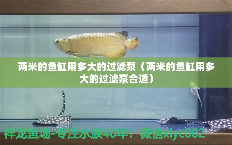 兩米的魚(yú)缸用多大的過(guò)濾泵（兩米的魚(yú)缸用多大的過(guò)濾泵合適）