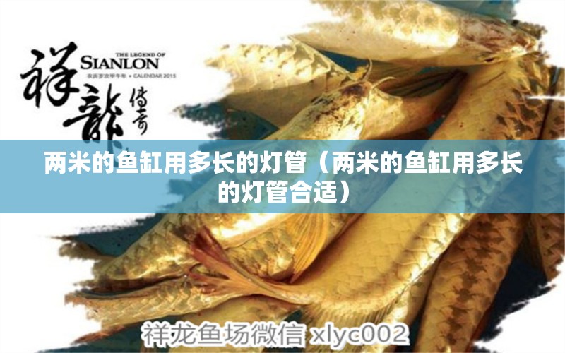 兩米的魚缸用多長(zhǎng)的燈管（兩米的魚缸用多長(zhǎng)的燈管合適） 祥龍水族醫(yī)院