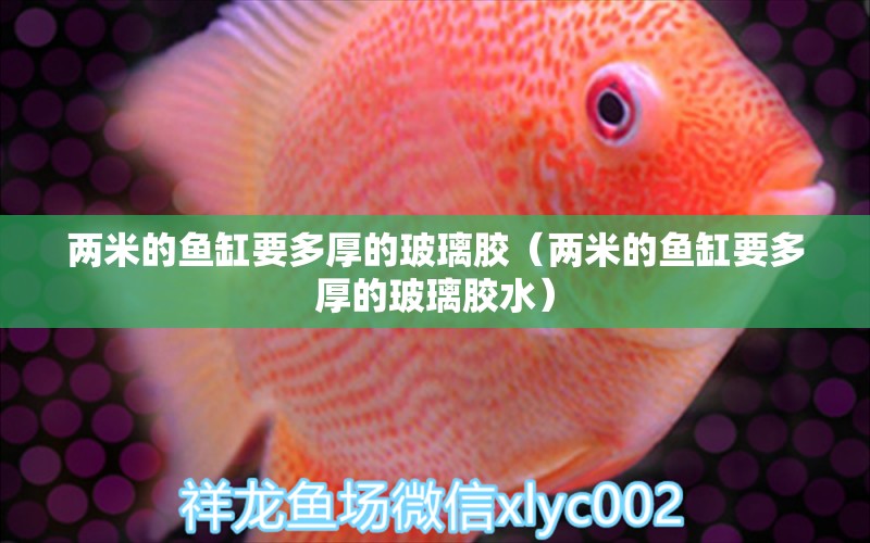 兩米的魚缸要多厚的玻璃膠（兩米的魚缸要多厚的玻璃膠水）