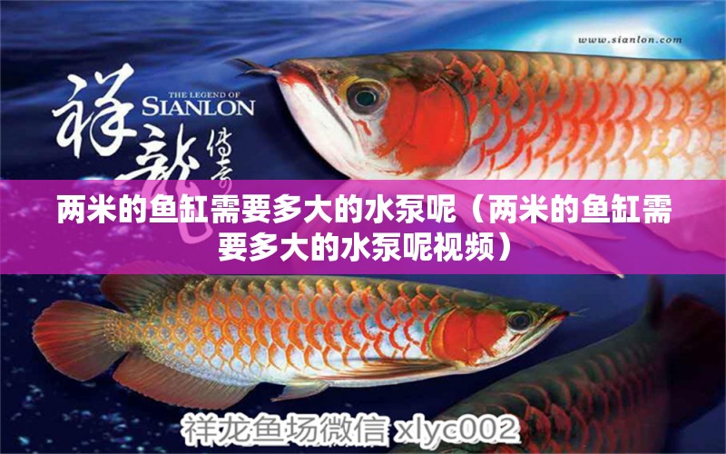 兩米的魚(yú)缸需要多大的水泵呢（兩米的魚(yú)缸需要多大的水泵呢視頻）