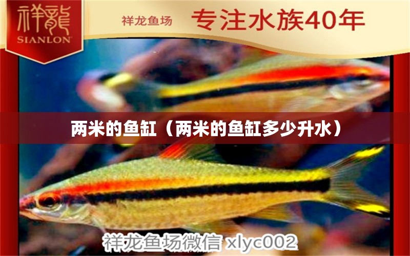 兩米的魚(yú)缸（兩米的魚(yú)缸多少升水）