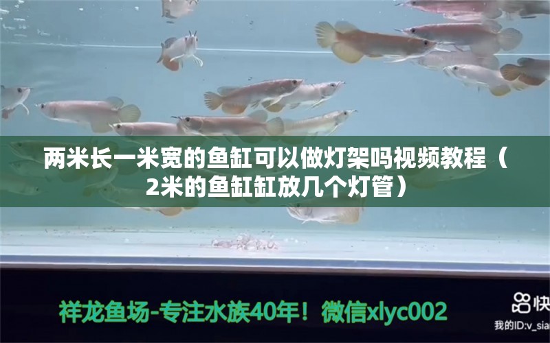 兩米長一米寬的魚缸可以做燈架嗎視頻教程（2米的魚缸缸放幾個(gè)燈管）